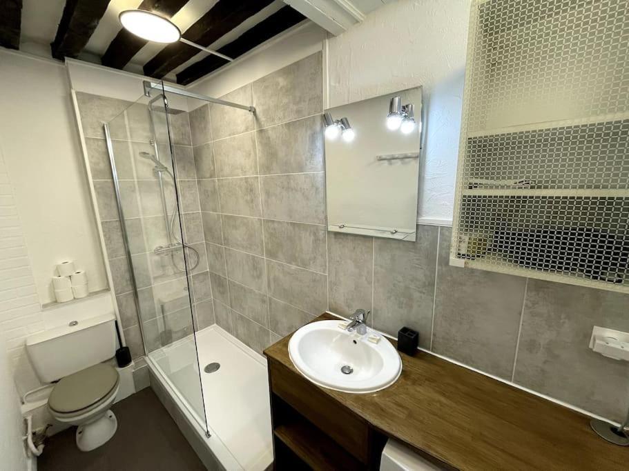 De Charme Hyper-centre Appartement *